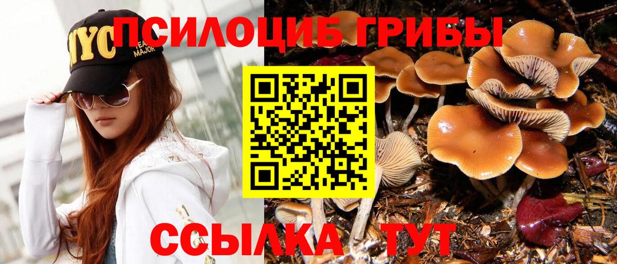 Псилоцибиновые грибы мицелий Альметьевск