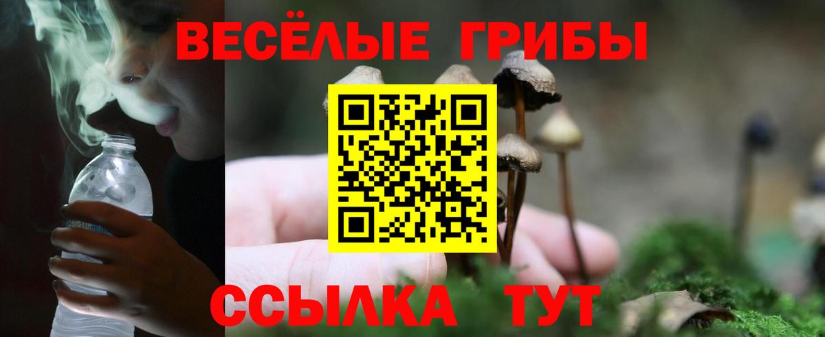 Псилоцибиновые грибы Cubensis  Вход с VPN  Альметьевск 